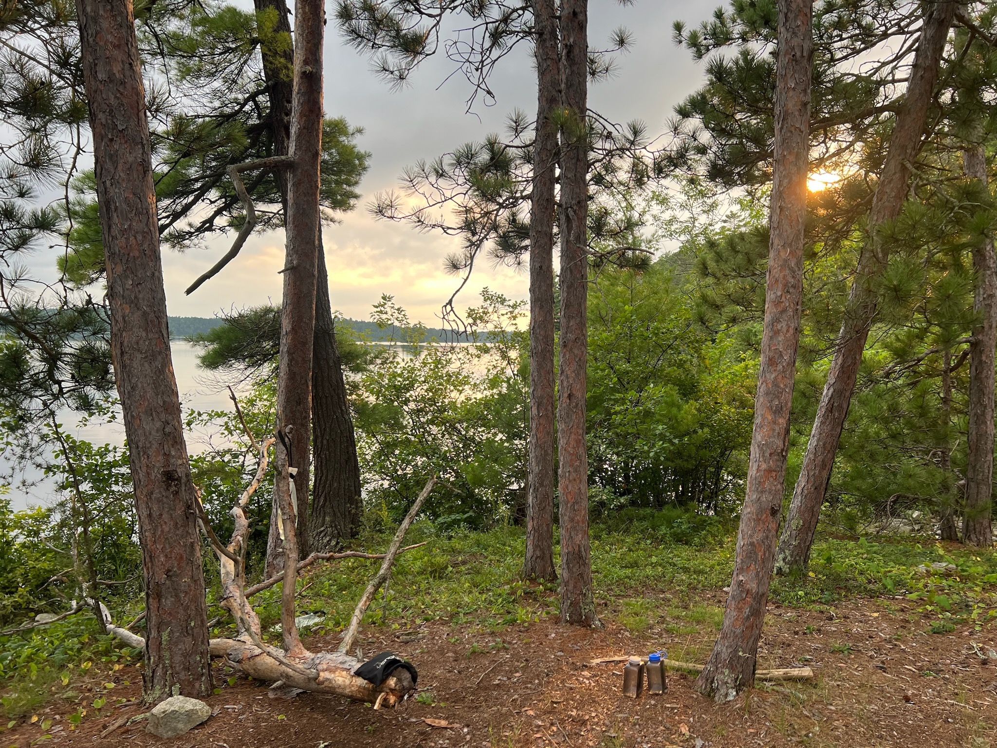 View from camp on Canadian Point of Basswood Lake 2025-08-08 19:17
