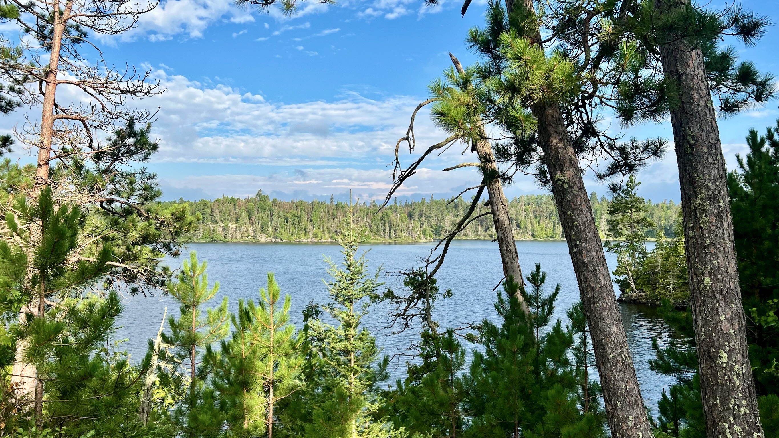 View of Saganagons Lake from camp 2025-08-12 08:41