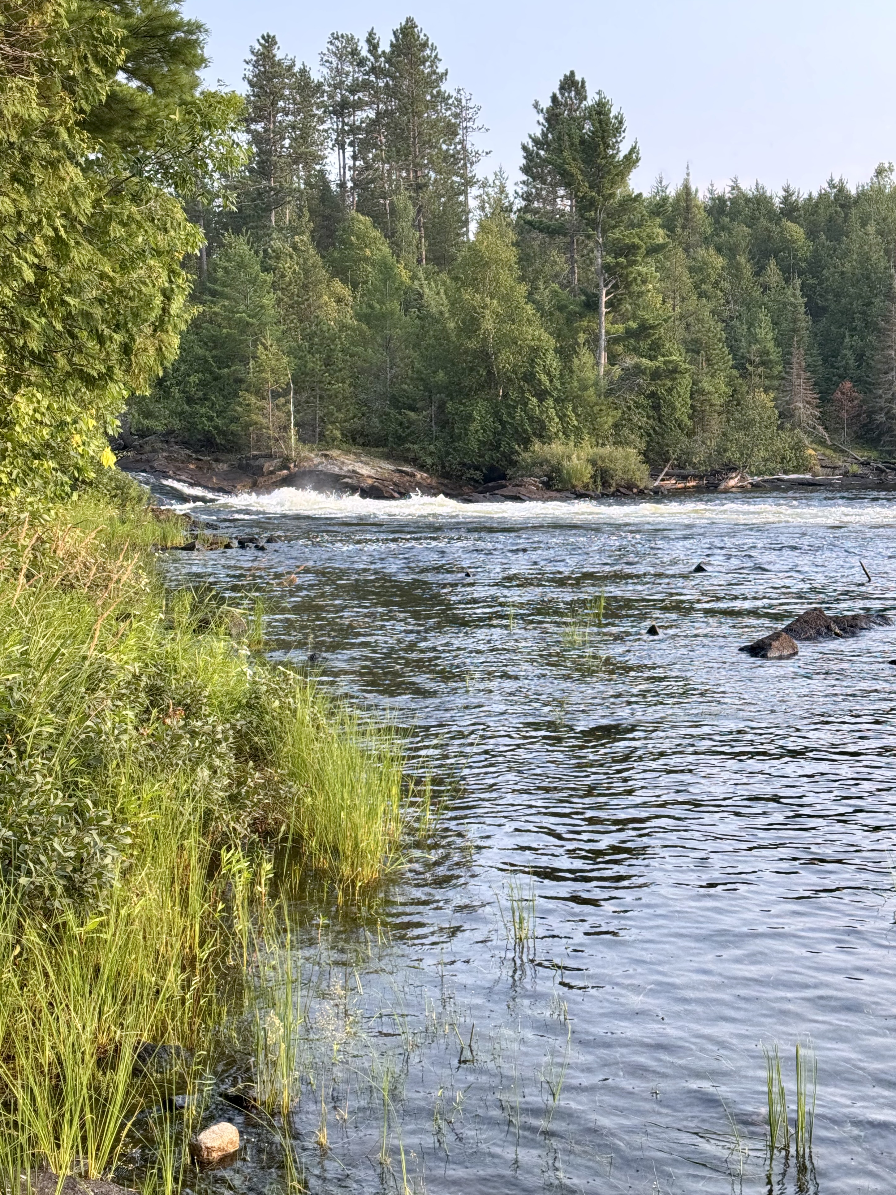View downstream of Little Falls 2025-08-12 18:37