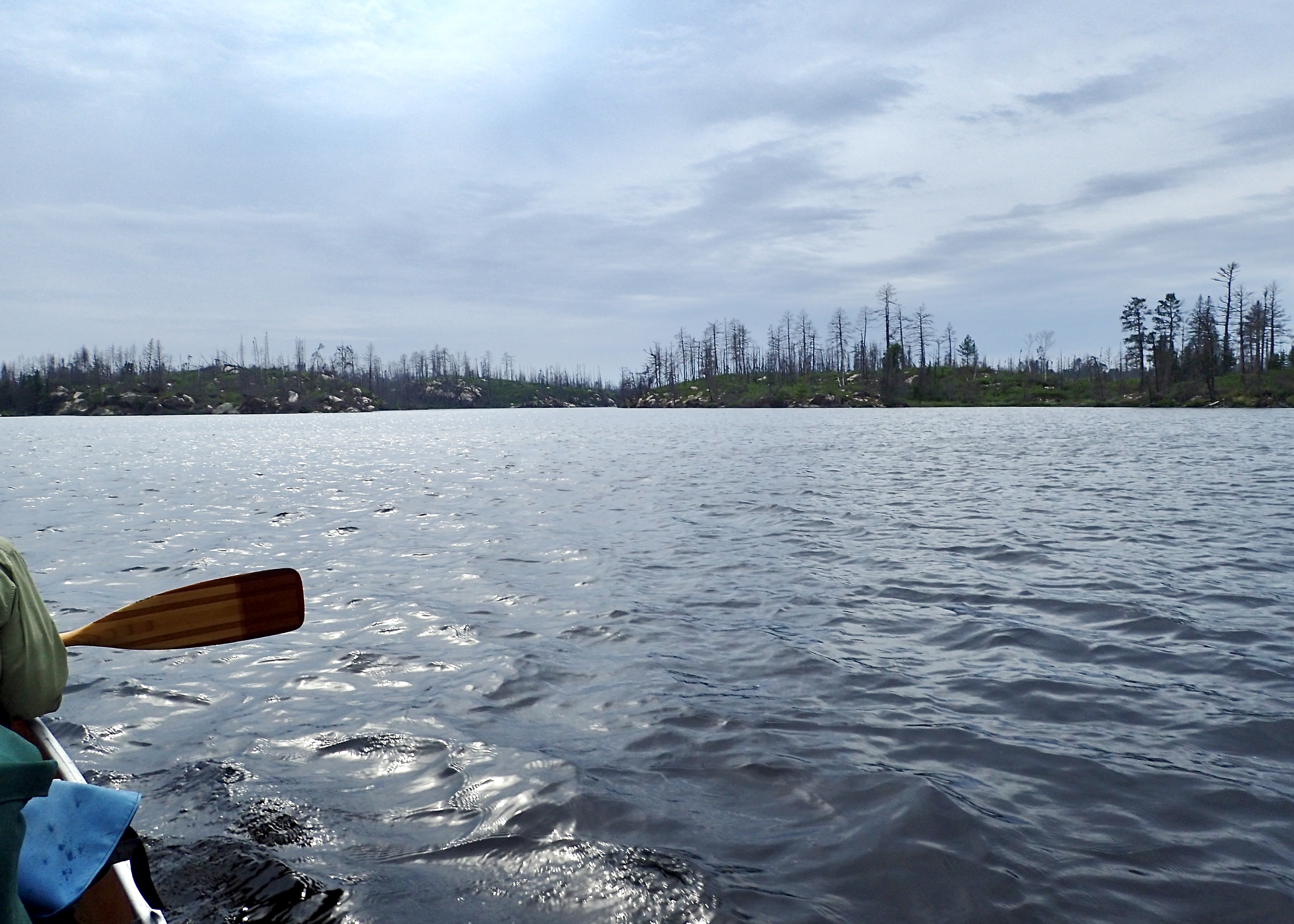 Paddling through burn area on Montgomery Lake 2025-08-14 16:37